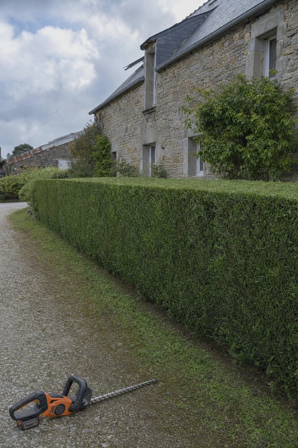 Une longue haie de thuyas fraîchement taillée devant une maison en pierre de Bretagne