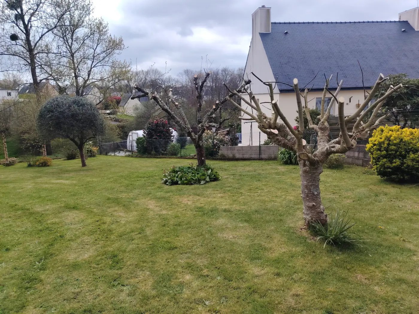Un jardin breton après passage, pelouse tondue et arbres fruitiers taillés